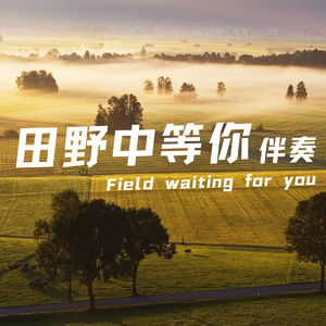 坐在18层楼顶边缘 伴奏