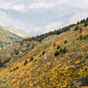Sleeping On The Coach