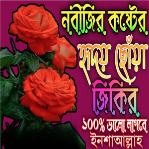 নবীজির হৃদয় ছোঁয়া জিকির বাংলা জিকির