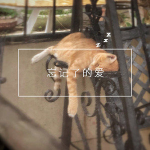 忘记了的爱