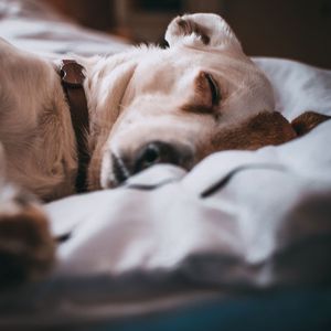 Rainy Reliefer for Good Sleep