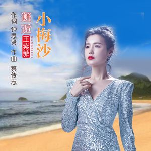 邂逅小梅沙 (伴奏)