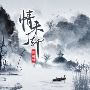 情未了却 (DJ西柚版)