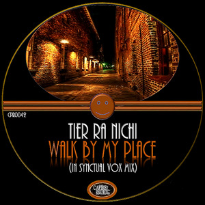 Walk By My Place (In Syntual Vox Dub)