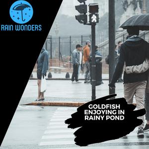 Overwhelming Heavy Rain