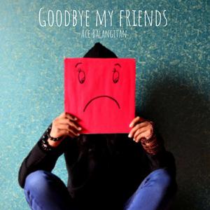 Goodbye My Friends