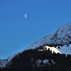 파란하늘에 걸린 달처럼