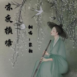凉夜横塘-紫韵（翻自 等什么君）