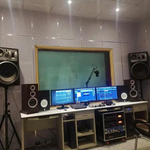 纠缠一生cover：童安格（女声AI技术蔡琴原声）