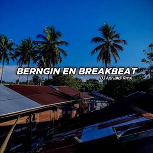 BERNGIN EN BREAKBEAT