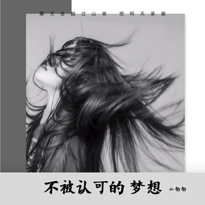 不被认可的梦想