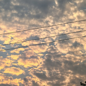 你可以故地重游 不可以回到过去