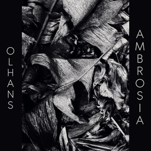 Ambrosia