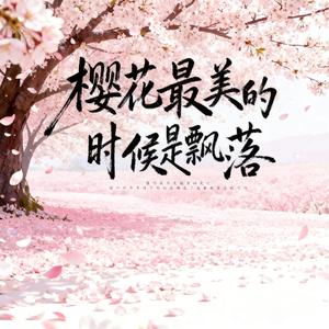 樱花最美的时候是飘落