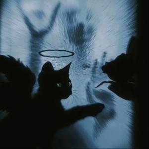 如果什么都会改变