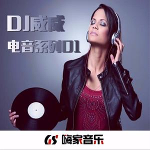 顶级旋律 (DJ版)