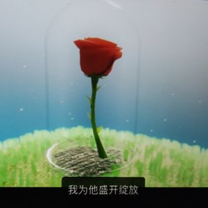 飘向北方（纯音乐）