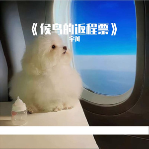 《候鸟的返程票》