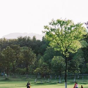 晚上好 春天小姐