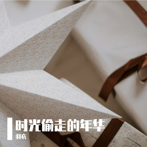 行李箱里有座城市