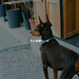 Cheerful Ambiance for Refreshing and Inspired