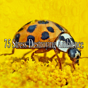 在黑暗中尋找自己