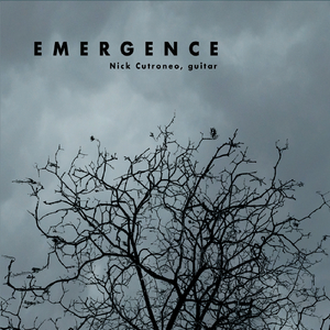 Emergence