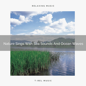 Ocean Whispers For Deep Sleep Composed By Wind Blows