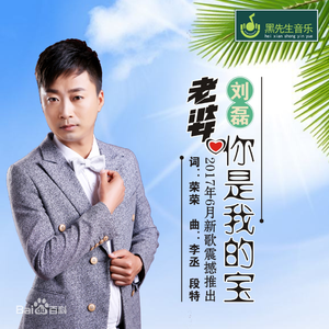 老婆你是我的宝