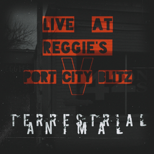 Saṃsāra (Live at Reggie's, Wilmington, NC, 11/18/2022)