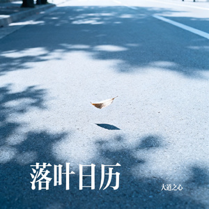 落叶日历