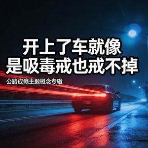 开上了车就像是吸毒戒也戒不掉.mp3