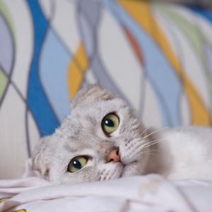 好想好想（翻自 古巨基）