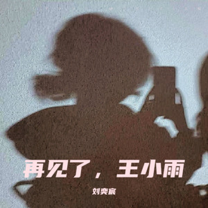 再见了，王小雨