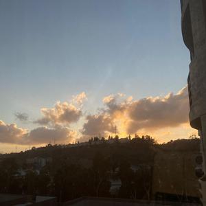 There Is a Zombie in My Garage