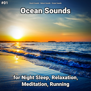 Ocean Sounds Pt. 50