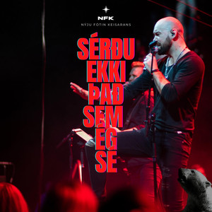 Sérðu ekki það sem ég sé (2022 Remix)
