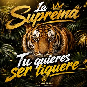 Tu quieres ser tiguere