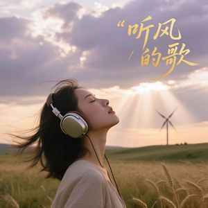 听风的歌