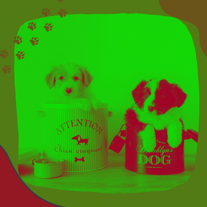 Background for Dog Training