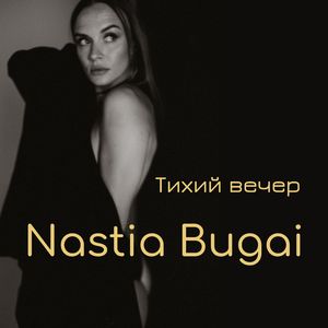 Тихий вечер