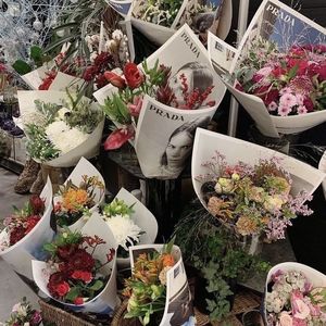 恋爱画板（治愈男声版）