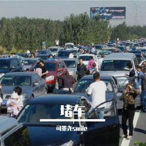 10A级景区：车车车车，丿人从众
