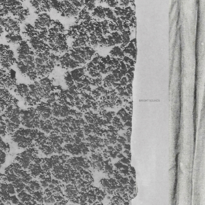 Related To The Brain Size