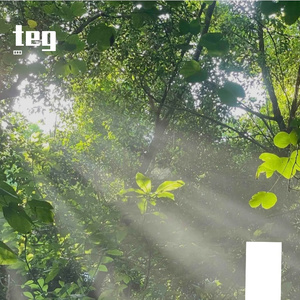 阳光跳跃的清晨