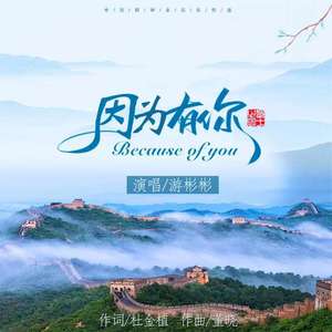 因为有你 (伴奏)