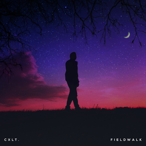 Fieldwalk