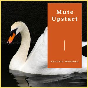 Mute Upstart