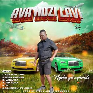 Dili mchongolo by Nyoka ya Nqondo