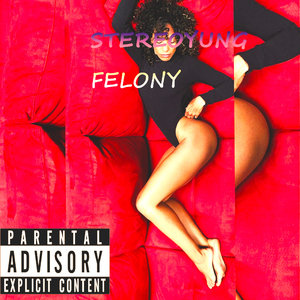 felony